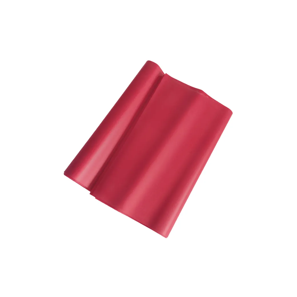 Bunheads Exercise Stretch Band